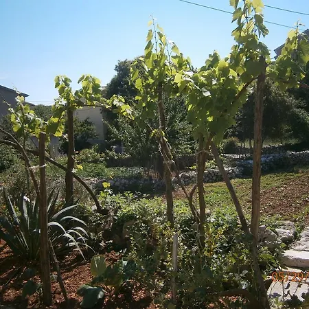 Holiday Loznati Дом отдыха