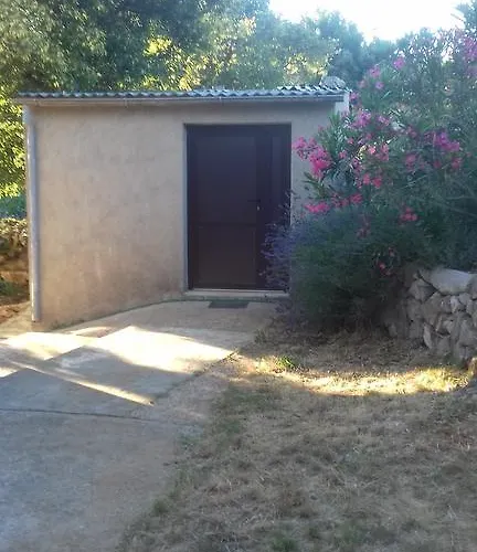 Holiday Loznati