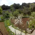Holiday Loznati Hébergement de vacances Cres