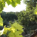 Holiday Loznati *