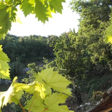 Loznati *